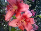 CAM02363