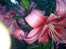 CAM02364