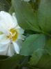 CAM02369