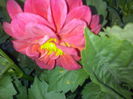 CAM02372