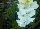 CAM02374