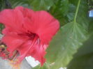CAM02462