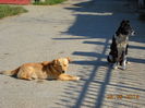 IMG9 082