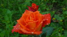 DSC02583