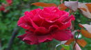DSC02691