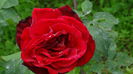 DSC02692