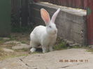 Picture 282
