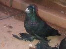 IMG-20140620-00436