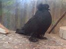 IMG-20140603-00246