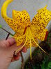 IMG_20140701_164931