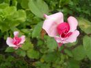 DSCN0638