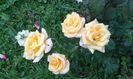 20140703_172510 - Copie