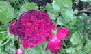 20140703_172533