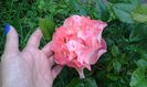 20140703_172553