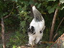 DSCN0170