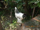 DSCN0172