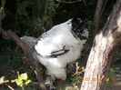 DSCN0174