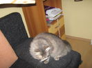 Picture 822