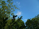DSCN9787