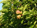 DSCN9792