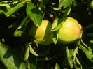 DSCN9793