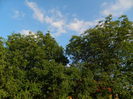 DSCN9796