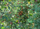 DSCN9797
