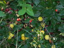 DSCN9800