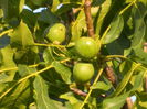 DSCN9804