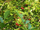 DSCN9806