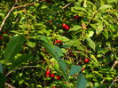 DSCN9807