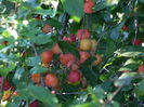 DSCN9810