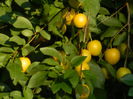 DSCN9829