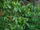 DSCN9844