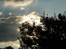 DSCN9864
