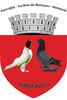 emblema Asociației-Jucător de Botoșani-România