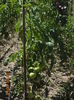DSC03463