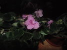 DSC03367