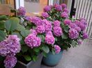 20140703_210103