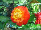 IMG_20140701_083629
