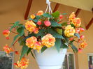 DSCN4184_098