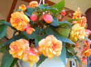 DSCN4186_100