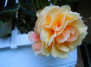 DSCN4240_154