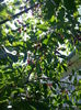 20140705_105859