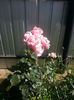 20140705_105600