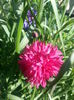 20140705_105610