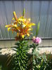 20140705_105625