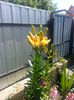20140705_105628