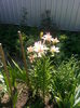 20140705_105633