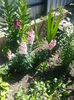 20140705_105637